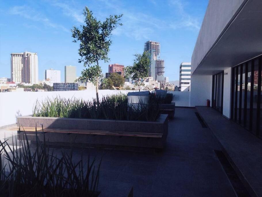Secure, Central And Quiet Apartment Work Or Travel Mexico by Eksteriør bilde